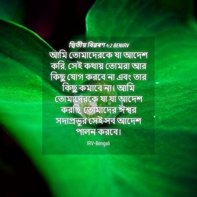 Picture 04 - দ্বিতীয় বিৱৰণ 4:2 BENIRV - আমি তোমাদেরকে যা - Bible Verse Picture