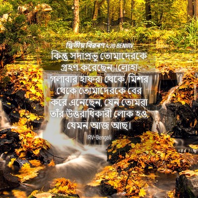 Picture 04 - দ্বিতীয় বিৱৰণ 4:20 BENIRV - কিন্তু সদাপ্রভু - Bible Verse Picture