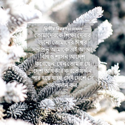 Picture 04 - দ্বিতীয় বিৱৰণ 6:1 BENIRV - তোমাদেরকে শিক্ষা - Bible Verse Picture