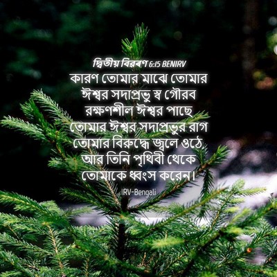 Picture 04 - দ্বিতীয় বিৱৰণ 6:15 BENIRV - কারণ তোমার মাঝে - Bible Verse Picture