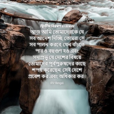 Picture 04 - দ্বিতীয় বিৱৰণ 8:1 BENIRV - আজ আমি তোমাদেরকে - Bible Verse Picture