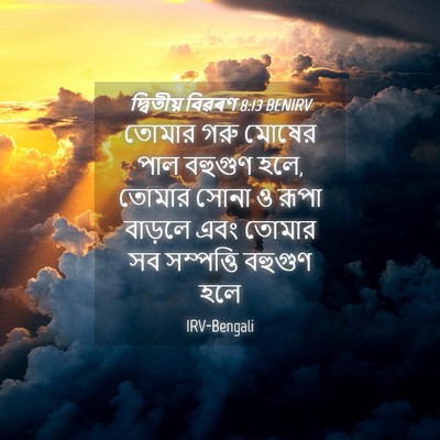 Picture 04 - দ্বিতীয় বিৱৰণ 8:13 BENIRV - তোমার গরু মোষের - Bible Verse Picture