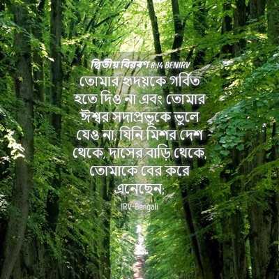 Picture 04 - দ্বিতীয় বিৱৰণ 8:14 BENIRV - তোমার হৃদয়কে - Bible Verse Picture