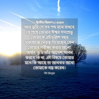 Picture 04 - দ্বিতীয় বিৱৰণ 8:2 BENIRV - আর তুমি সে সব পথ - Bible Verse Picture
