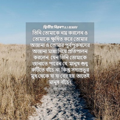 Picture 04 - দ্বিতীয় বিৱৰণ 8:3 BENIRV - তিনি তোমাকে নম্র - Bible Verse Picture