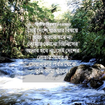 Picture 04 - দ্বিতীয় বিৱৰণ 8:9 BENIRV - সেই দেশে খাওয়ার - Bible Verse Picture