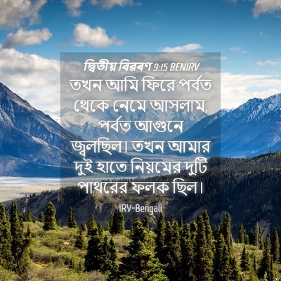 Picture 04 - দ্বিতীয় বিৱৰণ 9:15 BENIRV - তখন আমি ফিরে পর্বত - Bible Verse Picture