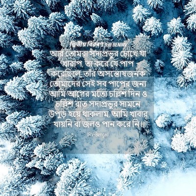 Picture 04 - দ্বিতীয় বিৱৰণ 9:18 BENIRV - আর তোমরা - Bible Verse Picture