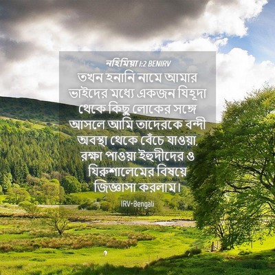 Picture 04 - নহিমিয়া 1:2 BENIRV - তখন হনানি নামে - Bible Verse Picture
