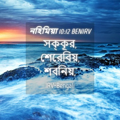 Picture 04 - নহিমিয়া 10:12 BENIRV - সক্কূর, শেরেবিয়, - Bible Verse Picture