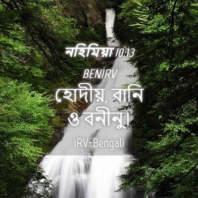 Picture 04 - নহিমিয়া 10:13 BENIRV - হোদীয়, বানি ও - Bible Verse Picture