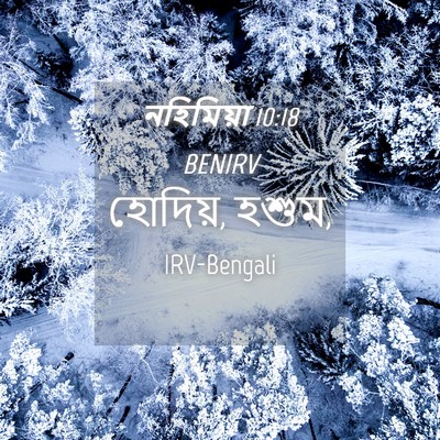 Picture 04 - নহিমিয়া 10:18 BENIRV - হোদিয়, - Bible Verse Picture