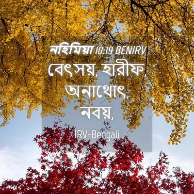 Picture 04 - নহিমিয়া 10:19 BENIRV - বেৎসয়, হারীফ, - Bible Verse Picture