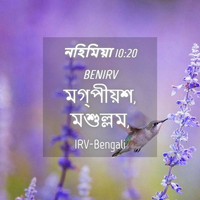 Picture 04 - নহিমিয়া 10:20 BENIRV - মগ্‌পীয়শ, - Bible Verse Picture