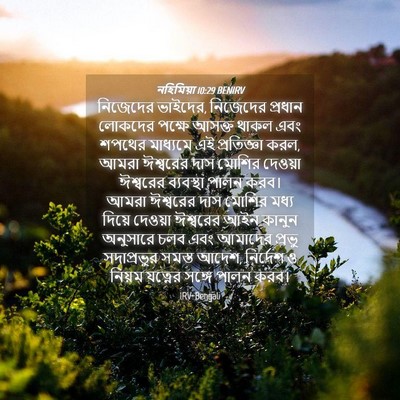 Picture 04 - নহিমিয়া 10:29 BENIRV - নিজেদের ভাইদের, - Bible Verse Picture