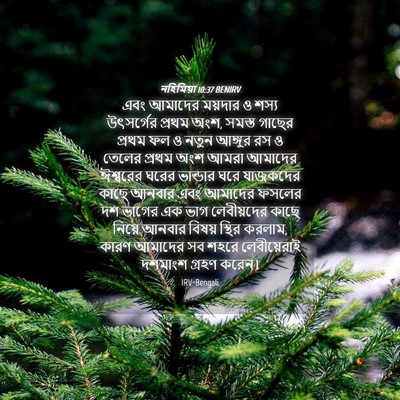 Picture 04 - নহিমিয়া 10:37 BENIRV - এবং আমাদের ময়দার - Bible Verse Picture
