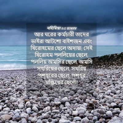Picture 04 - নহিমিয়া 11:12 BENIRV - আর ঘরের কর্মচারী - Bible Verse Picture