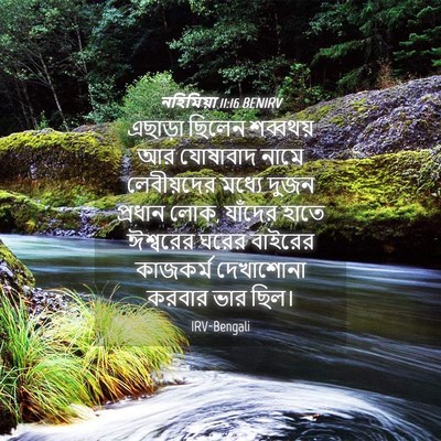 Picture 04 - নহিমিয়া 11:16 BENIRV - এছাড়া ছিলেন - Bible Verse Picture