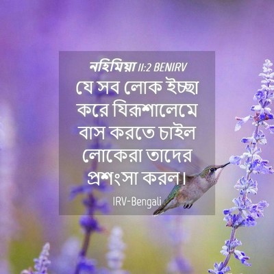 Picture 04 - নহিমিয়া 11:2 BENIRV - যে সব লোক ইচ্ছা করে - Bible Verse Picture