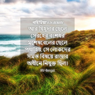 Picture 04 - নহিমিয়া 11:24 BENIRV - আর যিহূদার ছেলে - Bible Verse Picture