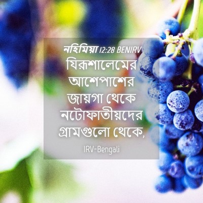 Picture 04 - নহিমিয়া 12:28 BENIRV - যিরূশালেমের - Bible Verse Picture