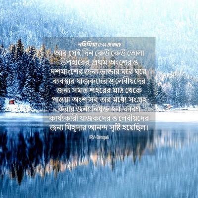 Picture 04 - নহিমিয়া 12:44 BENIRV - আর সেই দিন কেউ কেউ - Bible Verse Picture
