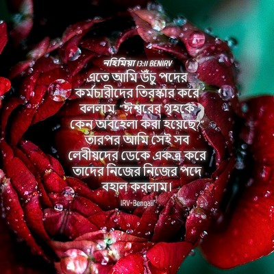 Picture 04 - নহিমিয়া 13:11 BENIRV - এতে আমি উঁচু পদের - Bible Verse Picture