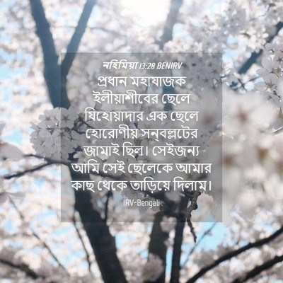 Picture 04 - নহিমিয়া 13:28 BENIRV - প্রধান মহাযাজক - Bible Verse Picture