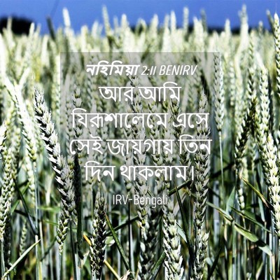 Picture 04 - নহিমিয়া 2:11 BENIRV - আর আমি যিরূশালেমে - Bible Verse Picture