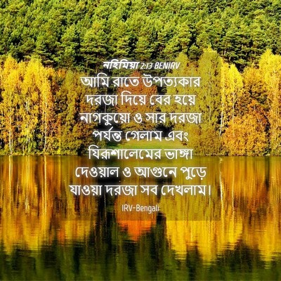 Picture 04 - নহিমিয়া 2:13 BENIRV - আমি রাতে উপত্যকার - Bible Verse Picture