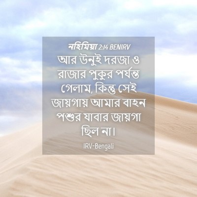 Picture 04 - নহিমিয়া 2:14 BENIRV - আর উনুই দরজা ও - Bible Verse Picture