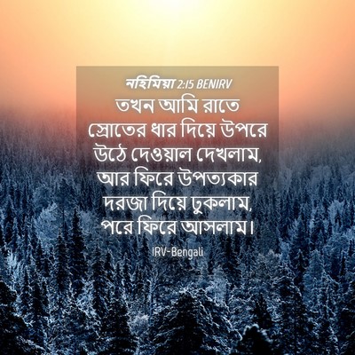 Picture 04 - নহিমিয়া 2:15 BENIRV - তখন আমি রাতে - Bible Verse Picture