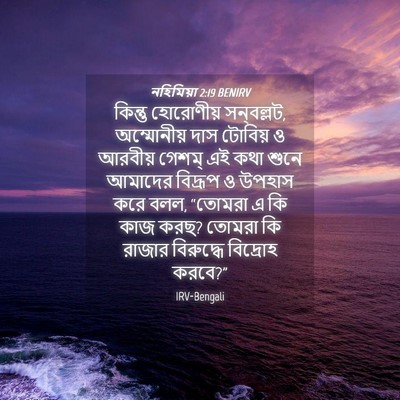 Picture 04 - নহিমিয়া 2:19 BENIRV - কিন্তু হোরোণীয় - Bible Verse Picture