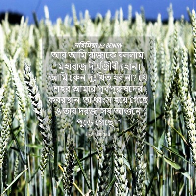 Picture 04 - নহিমিয়া 2:3 BENIRV - আর আমি রাজাকে - Bible Verse Picture