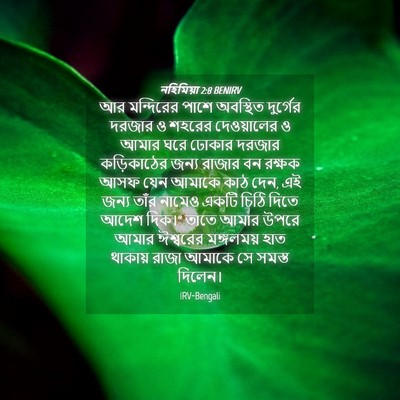 Picture 04 - নহিমিয়া 2:8 BENIRV - আর মন্দিরের পাশে - Bible Verse Picture