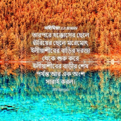 Picture 04 - নহিমিয়া 3:21 BENIRV - তারপরে হক্কোসের - Bible Verse Picture