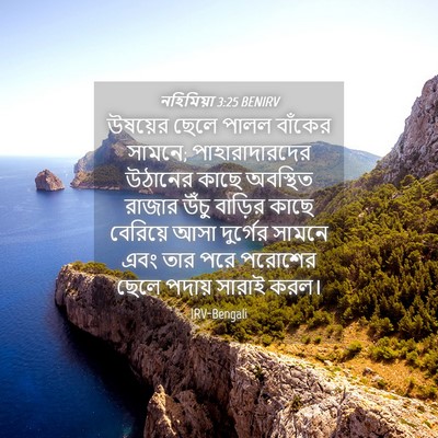 Picture 04 - নহিমিয়া 3:25 BENIRV - উষয়ের ছেলে পালল - Bible Verse Picture