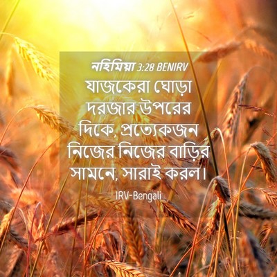 Picture 04 - নহিমিয়া 3:28 BENIRV - যাজকেরা ঘোড়া - Bible Verse Picture