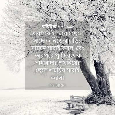Picture 04 - নহিমিয়া 3:29 BENIRV - তারপরে ইম্মেরের - Bible Verse Picture