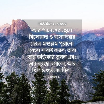 Picture 04 - নহিমিয়া 3:6 BENIRV - আর পাসেহের ছেলে - Bible Verse Picture