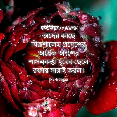 Picture 04 - নহিমিয়া 3:9 BENIRV - তাদের কাছে - Bible Verse Picture