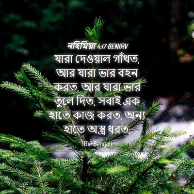 Picture 04 - নহিমিয়া 4:17 BENIRV - যারা দেওয়াল - Bible Verse Picture