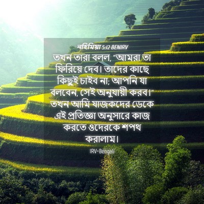 Picture 04 - নহিমিয়া 5:12 BENIRV - তখন তারা বলল, “আমরা - Bible Verse Picture