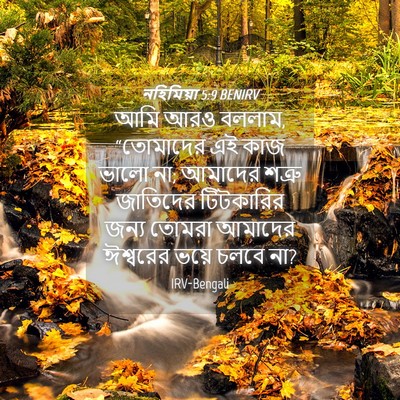 Picture 04 - নহিমিয়া 5:9 BENIRV - আমি আরও বললাম, - Bible Verse Picture