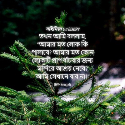 Picture 04 - নহিমিয়া 6:11 BENIRV - তখন আমি বললাম, - Bible Verse Picture