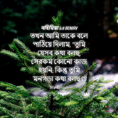 Picture 04 - নহিমিয়া 6:8 BENIRV - তখন আমি তাকে বলে - Bible Verse Picture