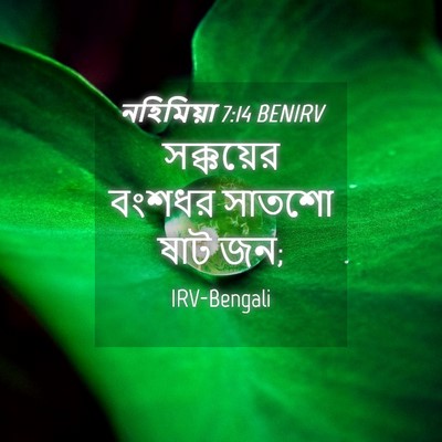 Picture 04 - নহিমিয়া 7:14 BENIRV - সক্কয়ের বংশধর - Bible Verse Picture