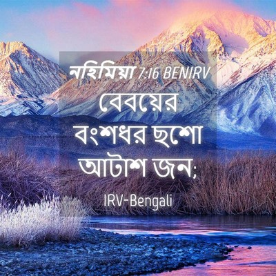 Picture 04 - নহিমিয়া 7:16 BENIRV - বেবয়ের বংশধর ছশো - Bible Verse Picture