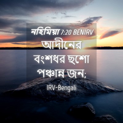 Picture 04 - নহিমিয়া 7:20 BENIRV - আদীনের বংশধর ছশো - Bible Verse Picture