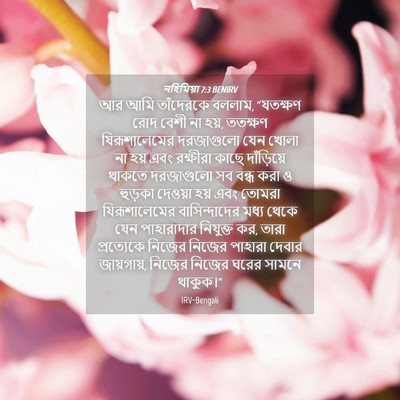 Picture 04 - নহিমিয়া 7:3 BENIRV - আর আমি তাঁদেরকে - Bible Verse Picture